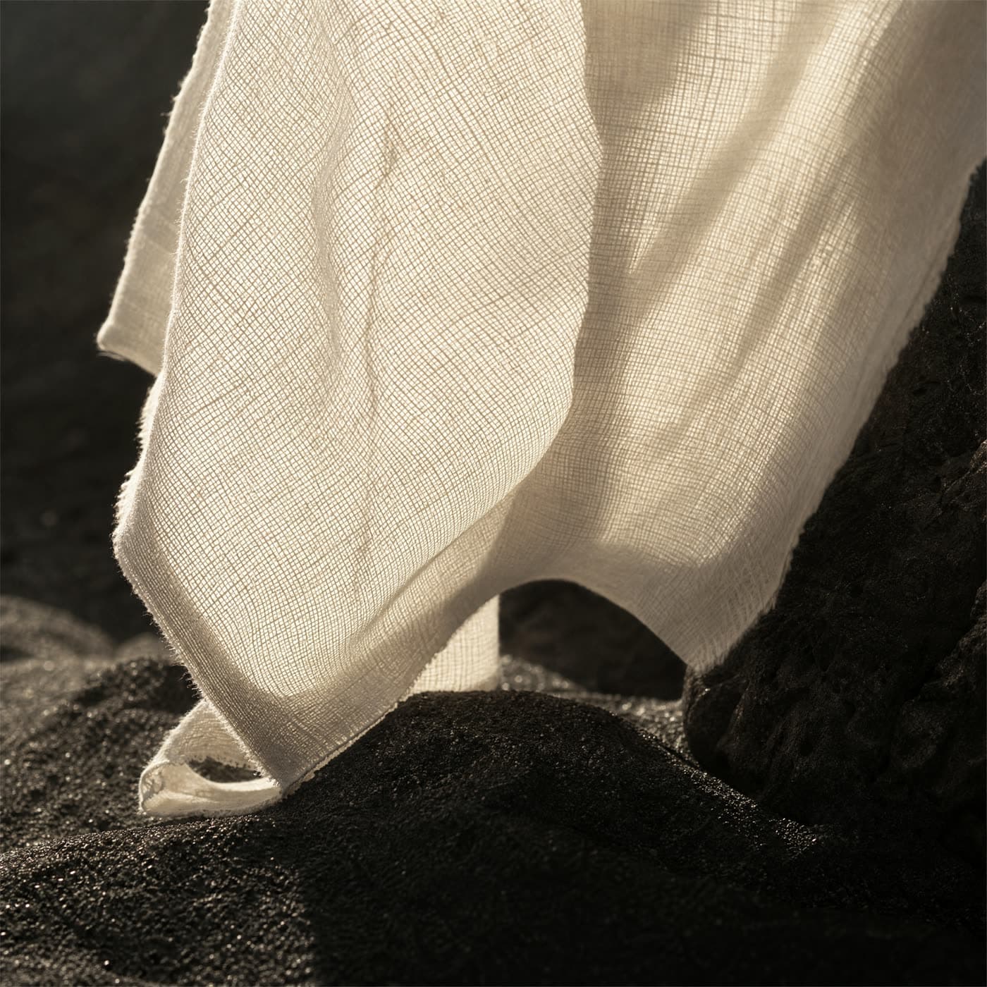 A second fine cotton for comparison.